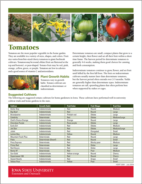 1 Alt - Tomato (1200x630), Png Download