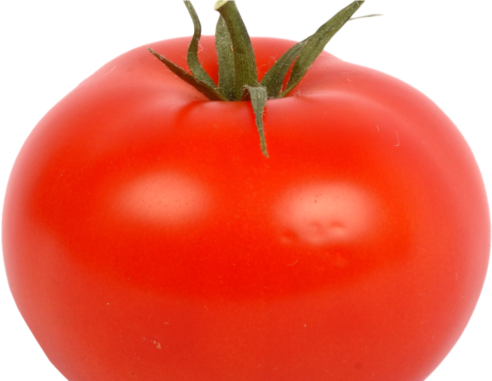 Fresh Red Tomato Png Image - Png Images Of Tomato (1024x768), Png Download