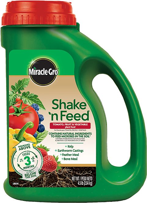 Tomato Fruit Vegetable Plant Food - Miracle Gro Shake And Feed Tomato (500x682), Png Download