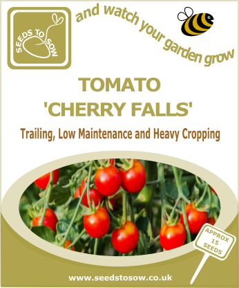 Tomato Cherry Falls - Seed (346x416), Png Download
