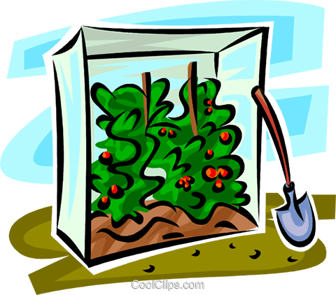 Tomato Plants In A Shelter Royalty Free Vector Clip - Clipart Green House (480x422), Png Download