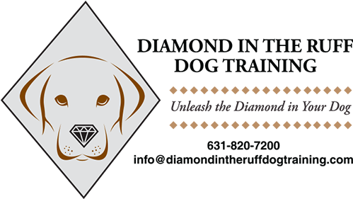 Logo - Sma Negeri 2 Pangkalan Bun (528x280), Png Download