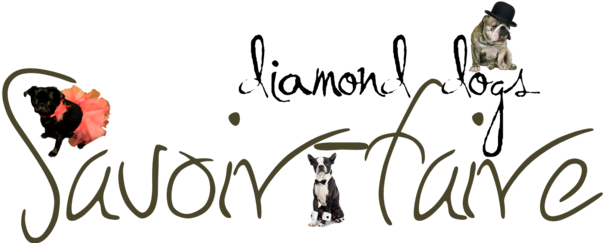 Poster: Bulldog Wearing Bowler Hat, 61x41in. (639x252), Png Download