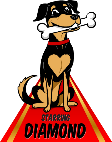 Meet Diamond, Your Friendly Host And Trainer He's A - Dog (389x500), Png Download