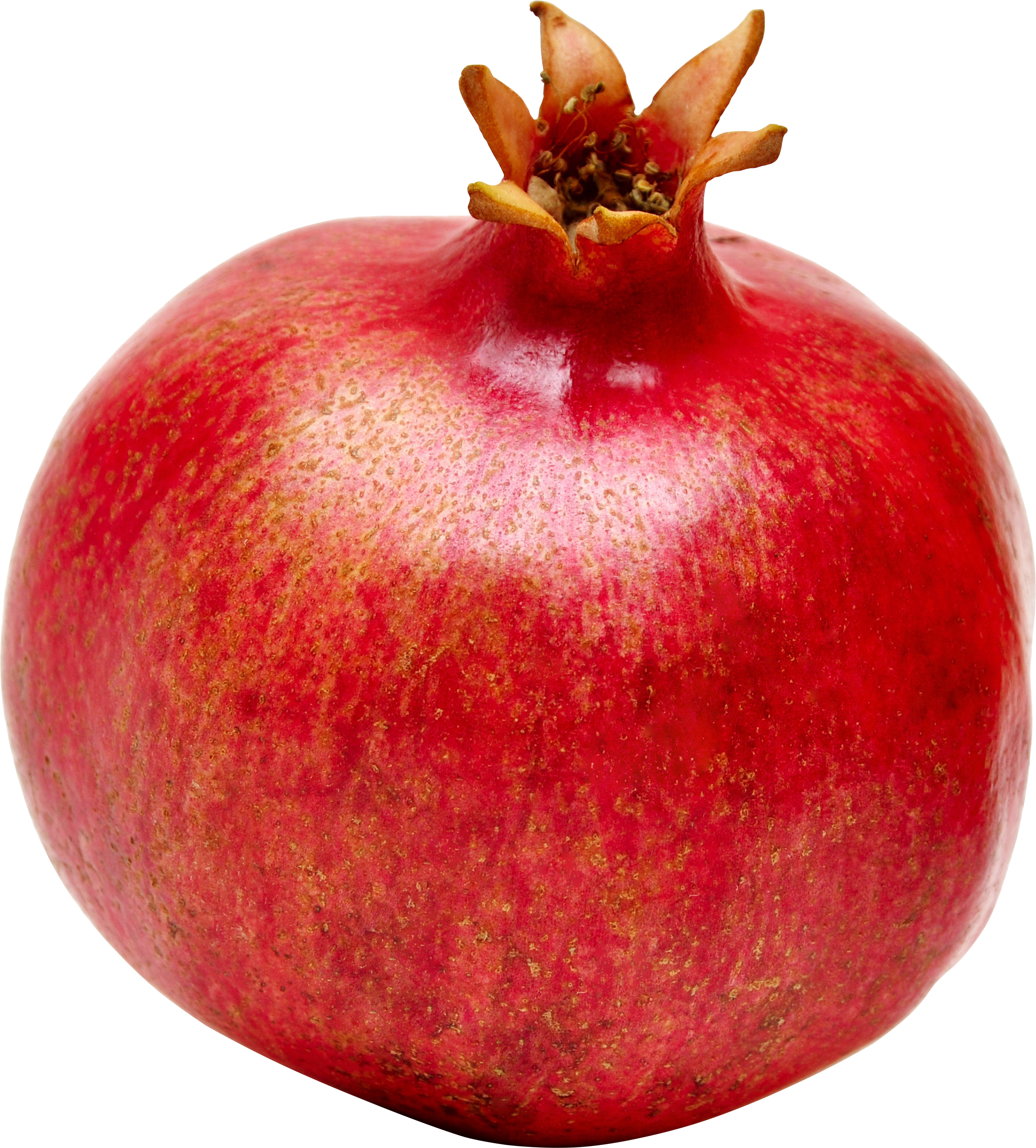 Pomegranate Png Image - Pomegranate Png (3158x3499), Png Download
