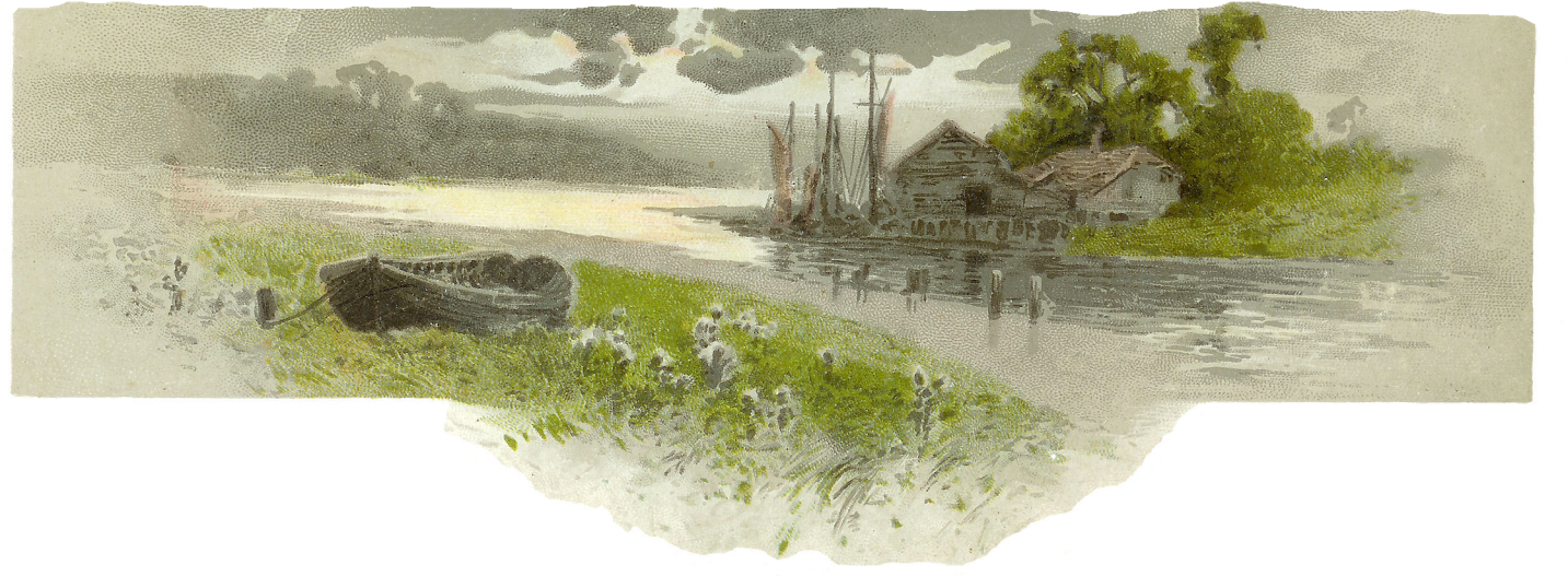 Antique Images - Flower Borders And Frames (1600x621), Png Download