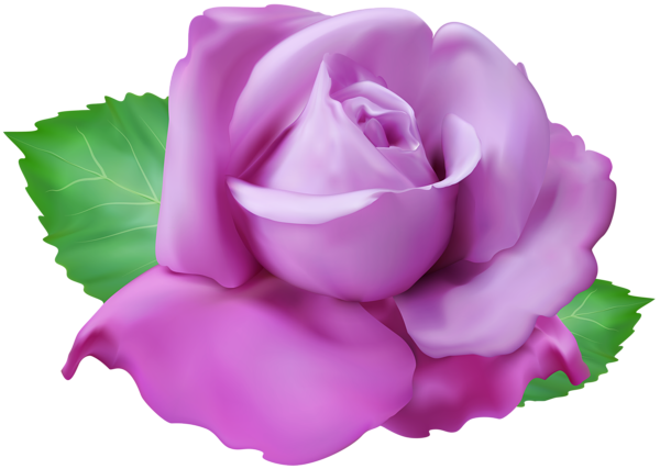0, - Floribunda (600x427), Png Download