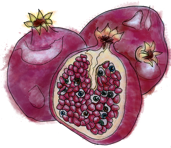 Thank You - Pomegranate (600x520), Png Download