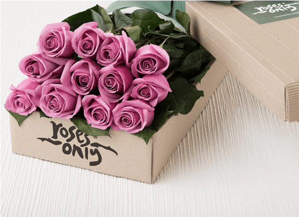 One Dozen Purple Roses - Purple Roses In Box (600x673), Png Download