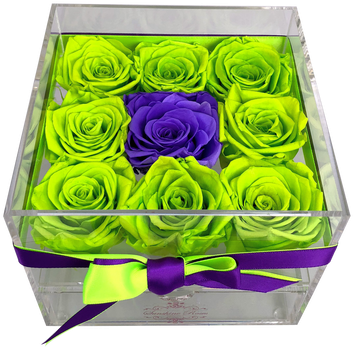 Garden Roses (498x664), Png Download