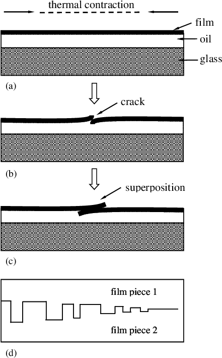 Schematic Drawing Of Formation Process Of The Sandwiched - Drawing (451x714), Png Download
