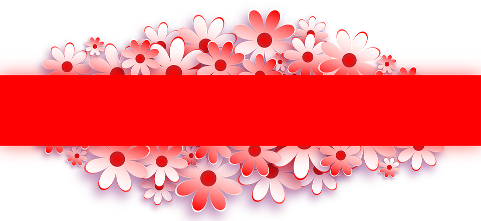 Banner, Flower, Red, For Web - Background Banner Pernikahan Merah (737x340), Png Download