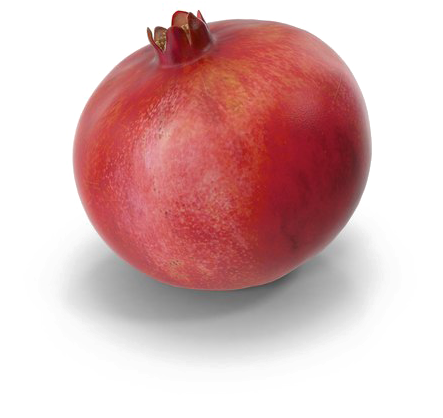 Pomegranate Free Png Image - Portable Network Graphics (600x600), Png Download