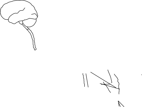 Brain And Spinal Cord Cartoon (600x454), Png Download