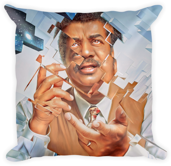 Neil Degrasse Tyson Pillow - Painting (600x600), Png Download