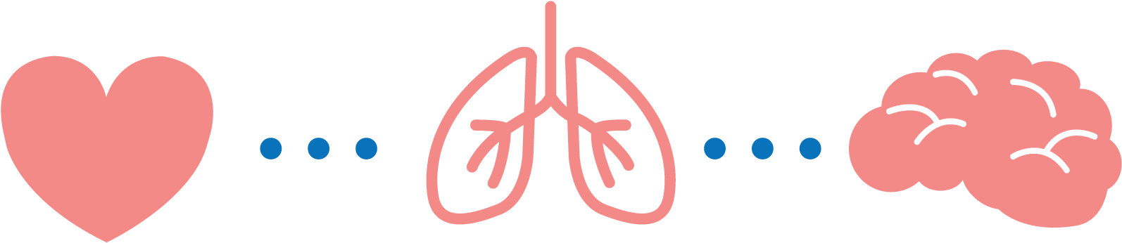 Exercise Affects The Brain On Multiple Fronts - Physical Health Transparent Background (1600x361), Png Download