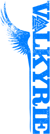 Valkyrie (394x500), Png Download