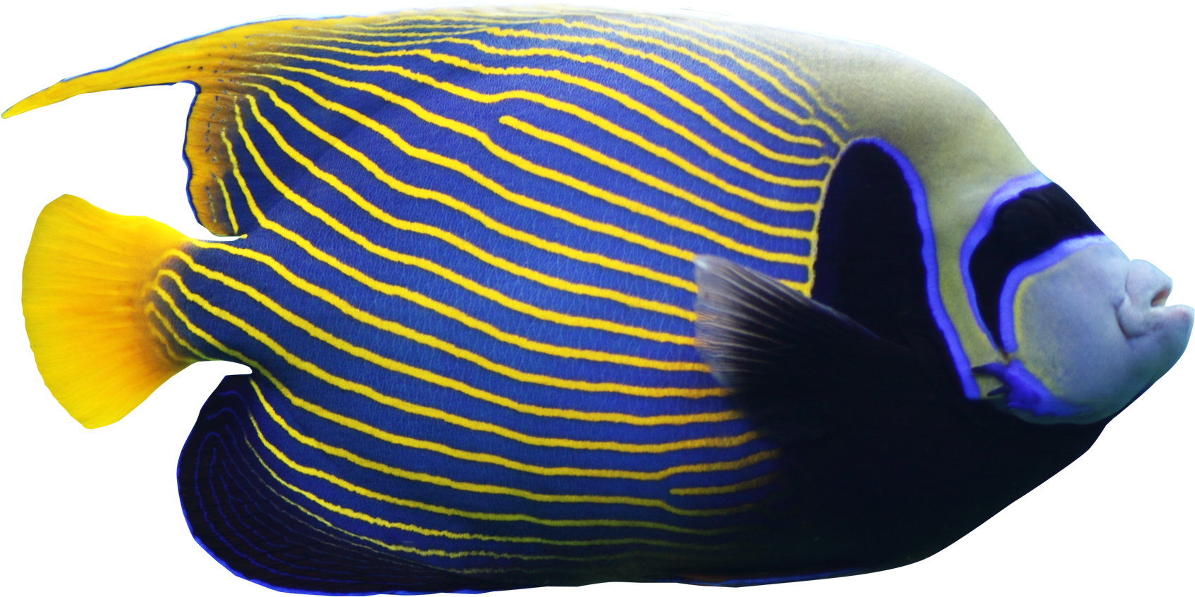 Cathedral Of Christ The Light (1850x1164), Png Download