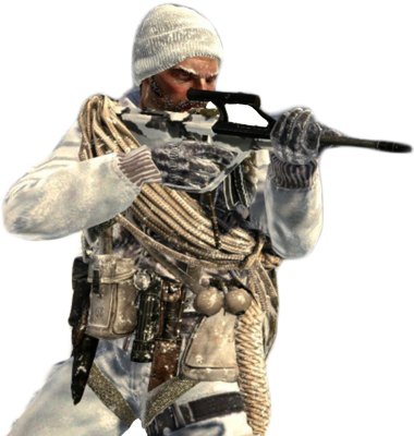 Call Of Duty Black Ops Emblems - Call Of Duty Arctic (380x400), Png Download
