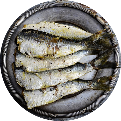 White Fish Meal - 100 Grams Sardine (467x467), Png Download