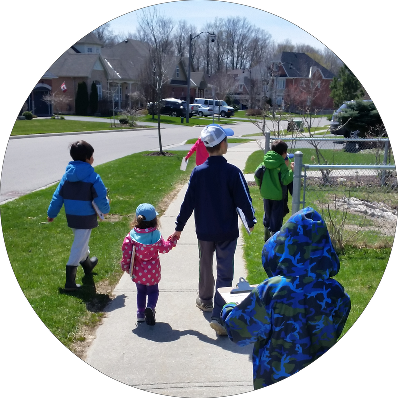 Areas Of Expertise - Toddler (800x800), Png Download