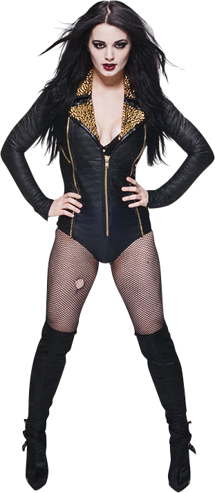 Wwe, Wwe Divas, My Life, Paige Wwe, Searching, Search - Wwe Paige Png 2015 (311x713), Png Download