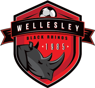 Black Rhinos Soccer Logo Design By Jordan Fretz - Emblem (378x378), Png Download