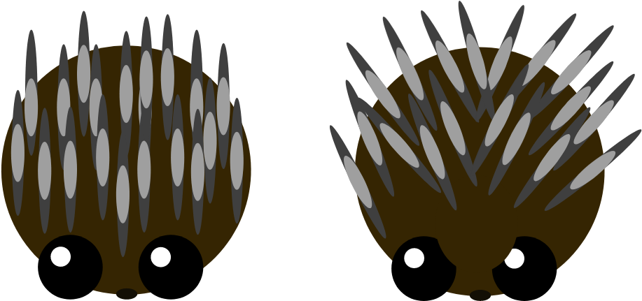 Artisticporcupine - Portable Network Graphics (1000x500), Png Download