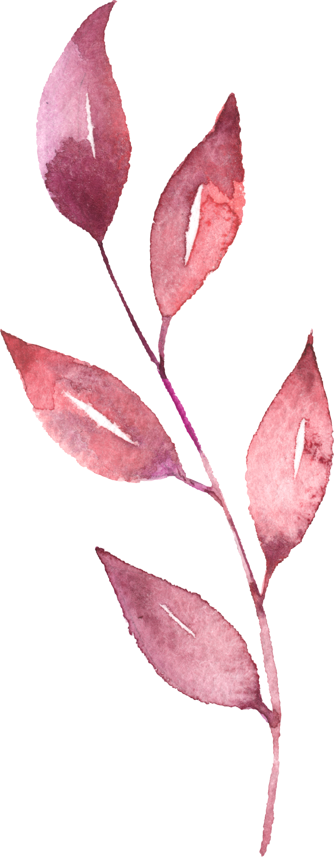 Watercolour Blumen Aquarell, Kunsttechniken, Malerei - Watercolor Painting (1095x2806), Png Download