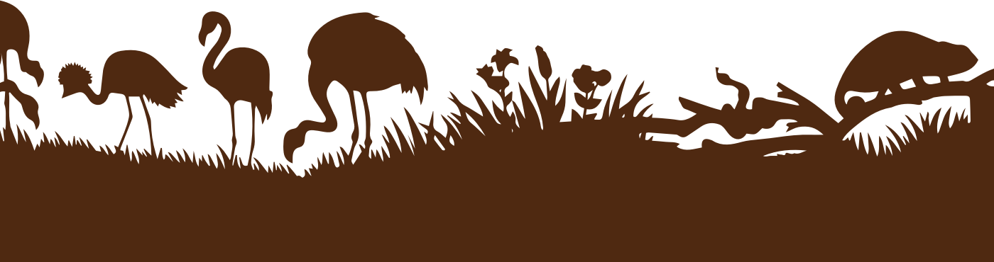 Brown Bird Background - Bird (1400x370), Png Download