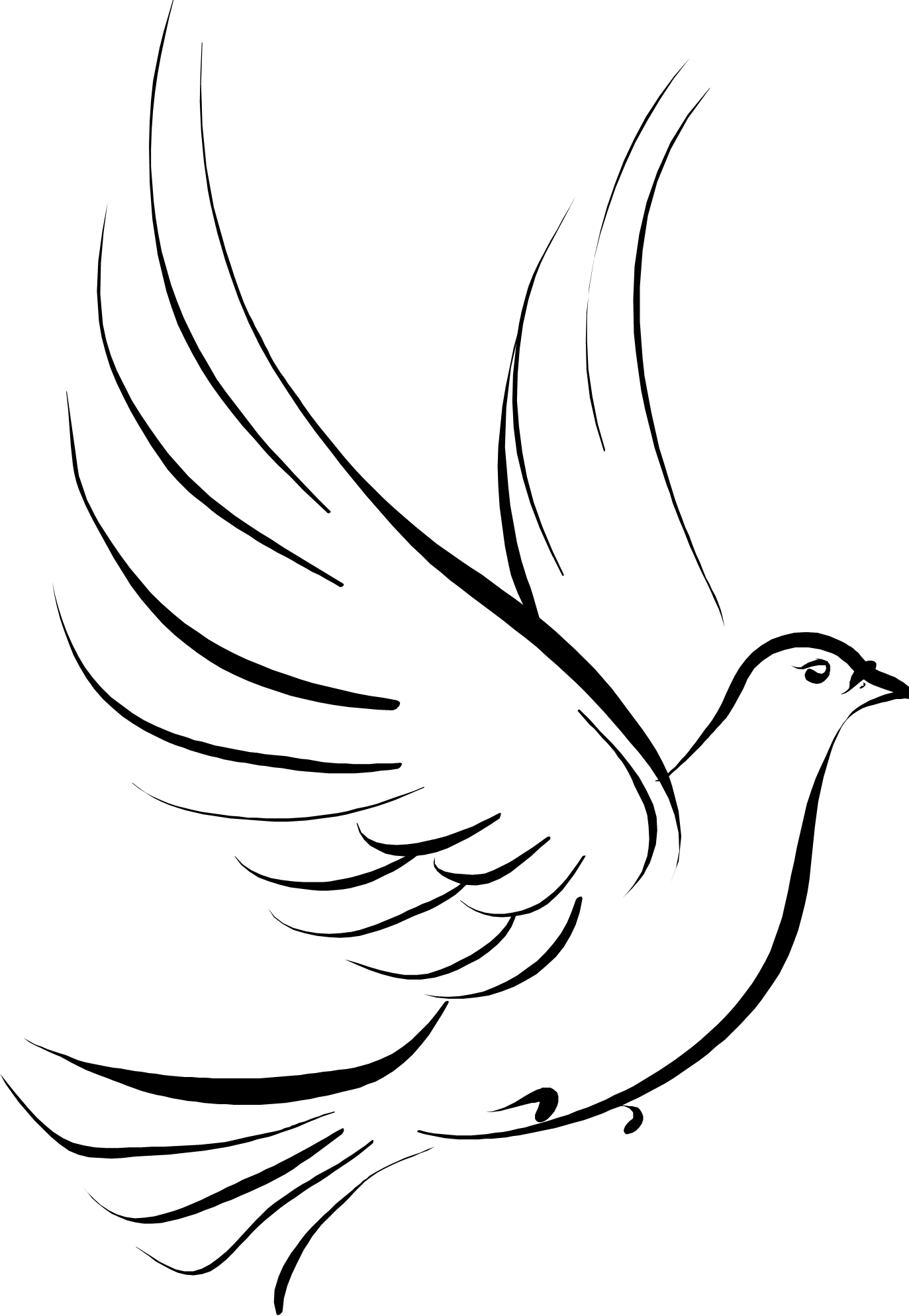 Pigeons And Doves (1373x1988), Png Download