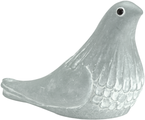 Mourning Dove Green - Bird (500x404), Png Download