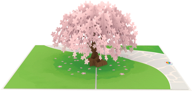 Cherry Blossom Pop Up Card - Lovepop Pop Up Card (672x672), Png Download