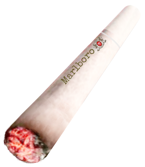 Cigarette (480x554), Png Download