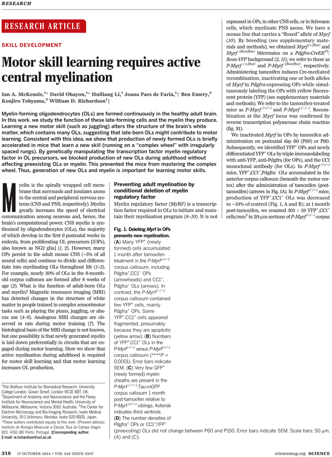 Concentracion De Bicicletas (765x974), Png Download