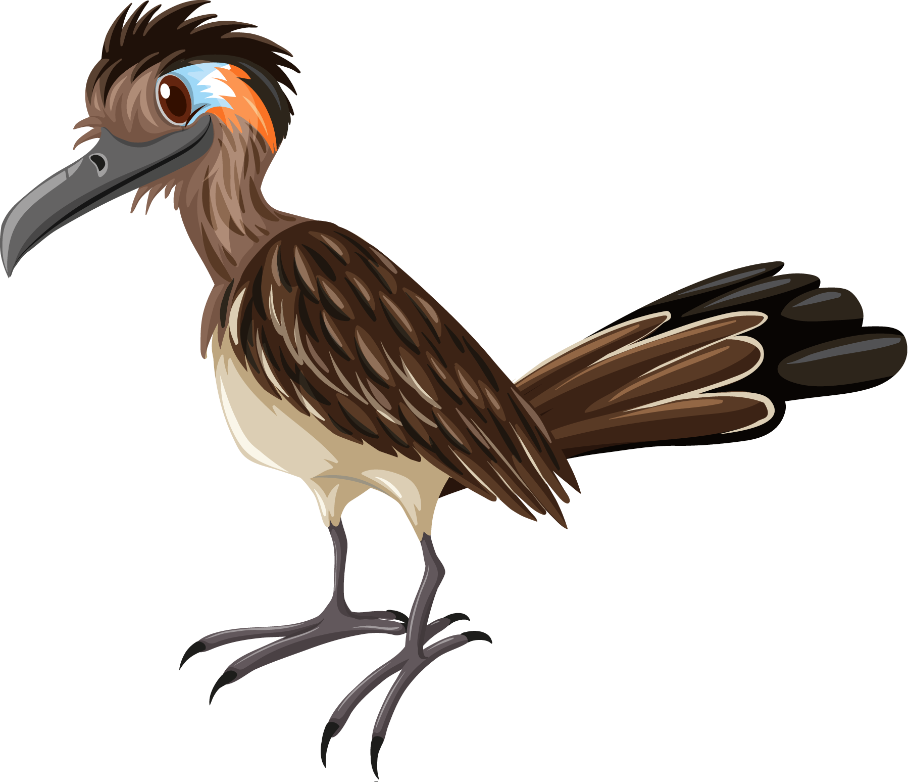 Reservations - Different Birds (1800x1547), Png Download