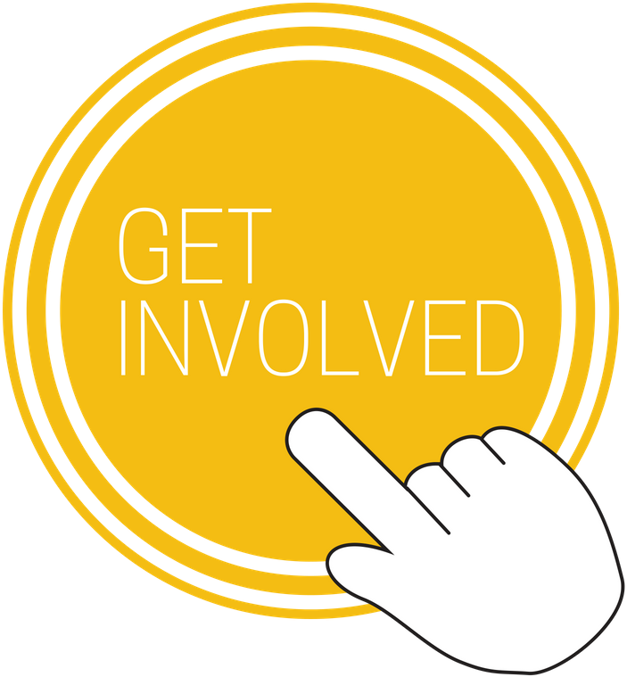 Humane Treatment For Carriage Horses Now - Charleston (800x800), Png Download