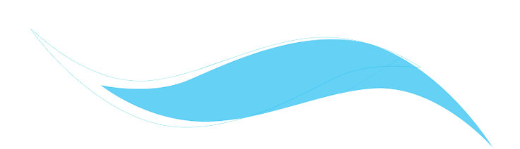 Constitution - Sponsor (736x212), Png Download