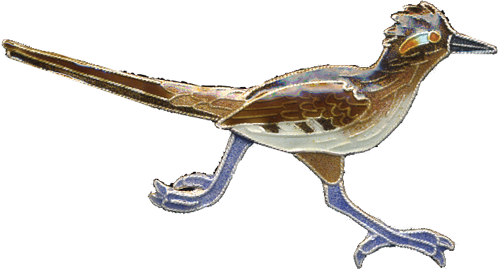 Road Runner Bird Png (900x900), Png Download