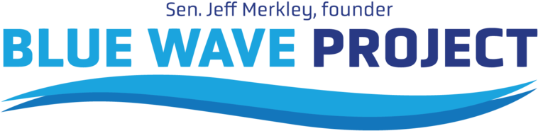 Opportunity & Renewal Pac - Bullwhip Effect (778x250), Png Download