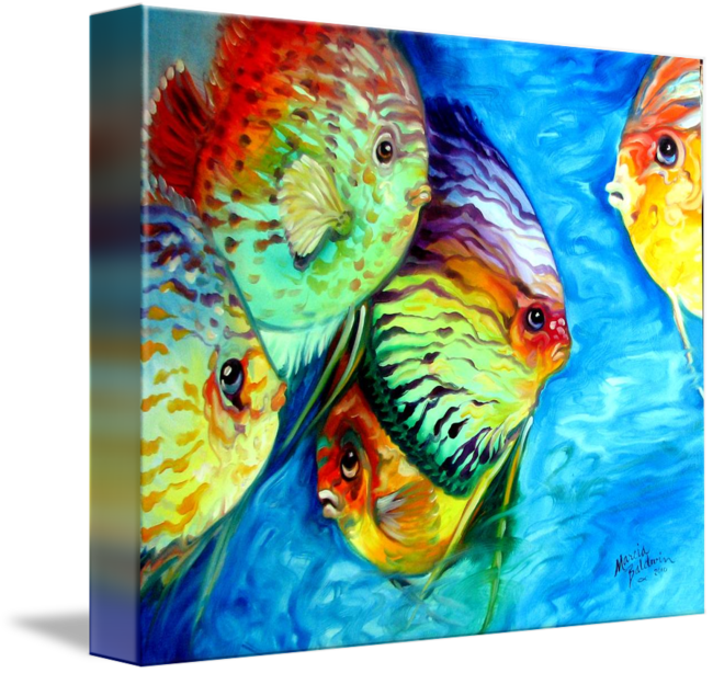 "tropical Fish Colors" By Marcia Baldwin, Wesley - Imagekind Gallery-wrapped Canvas Art Print 13 X 11 (650x614), Png Download