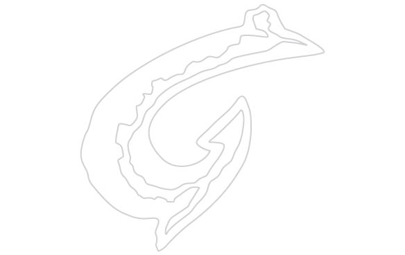 Emblem (584x368), Png Download