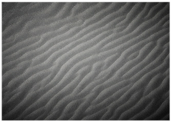 Black And White With Vignette - Wood (400x400), Png Download