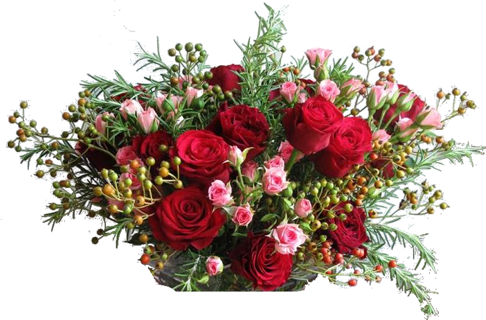 Plants Nursery, Cebu City - Flower (1020x657), Png Download