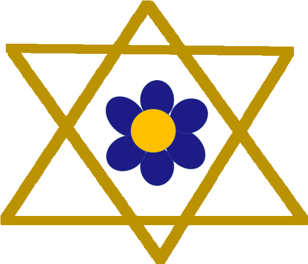 Estrella De David Png (720x720), Png Download