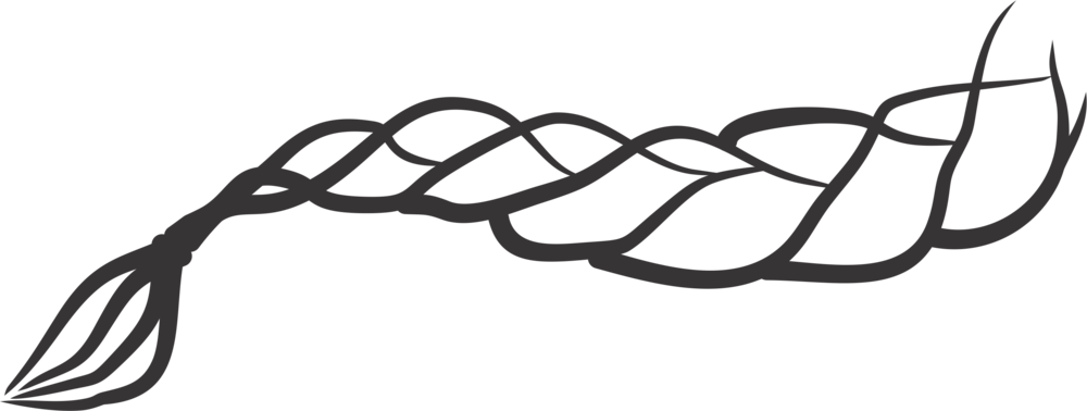 Braid - Braid Png (1000x378), Png Download