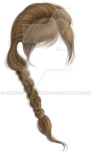 Hand Painted Braided Hair With Bangs By Trisste Stock Braided Brown Hair Png Full Size Png Download Seekpng
