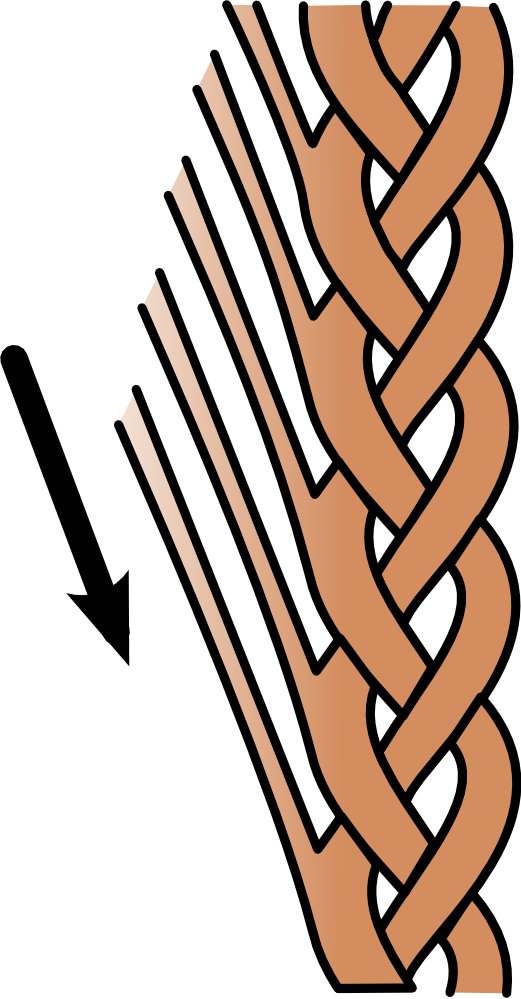 Lace Braid Graphic - Braid (521x999), Png Download