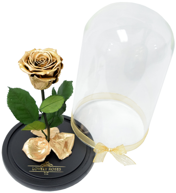 This Rose Is Inspired In The Movie Beauty And The Beast - Lovely Roses Beauty And Beast Rose (498x498), Png Download