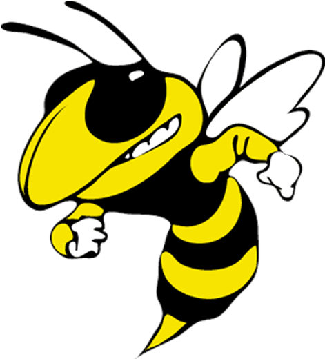 Newark High School Yellow Jackets (770x580), Png Download